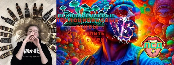 PSILOCYBIN Богданович